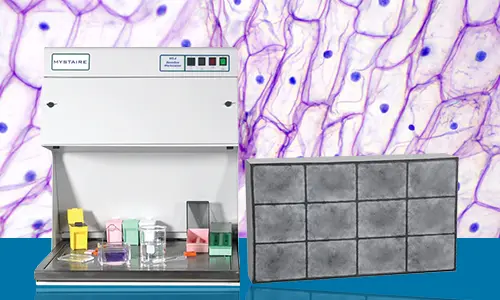 Cellular Science Unveiled: The World of Cytology